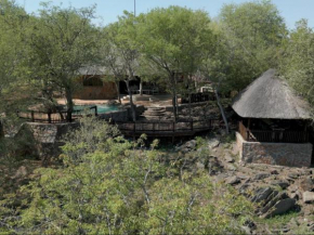 Rooted Bush Safaris